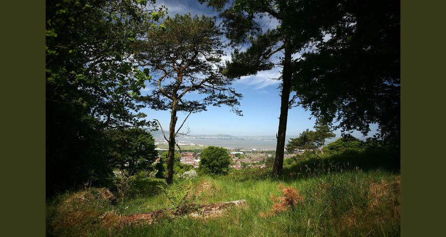 Redburn Country Park, Holywood